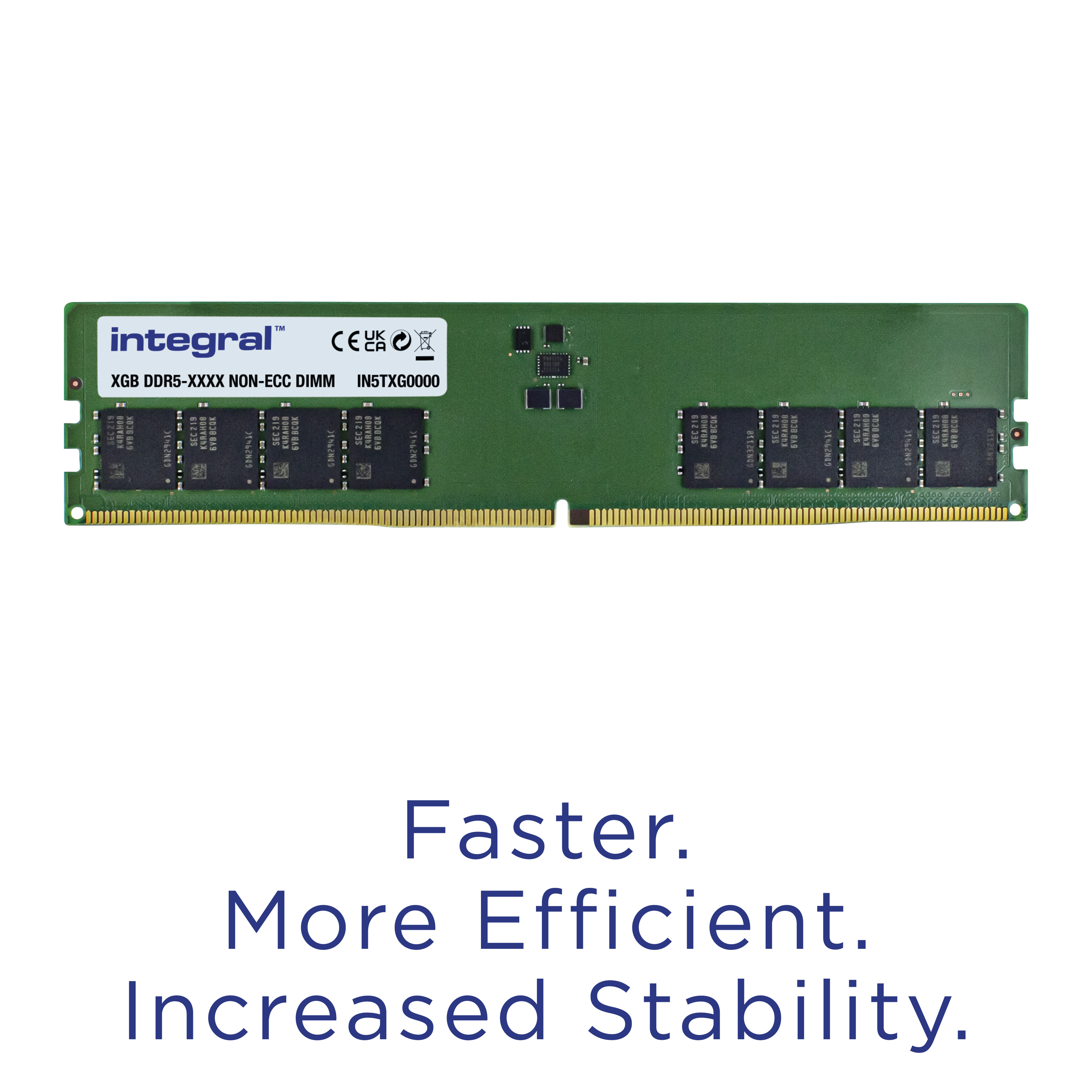 Un modulo RAM verde con chip neri e connettori dorati, la parola 'integral' è visibile, testo sotto.