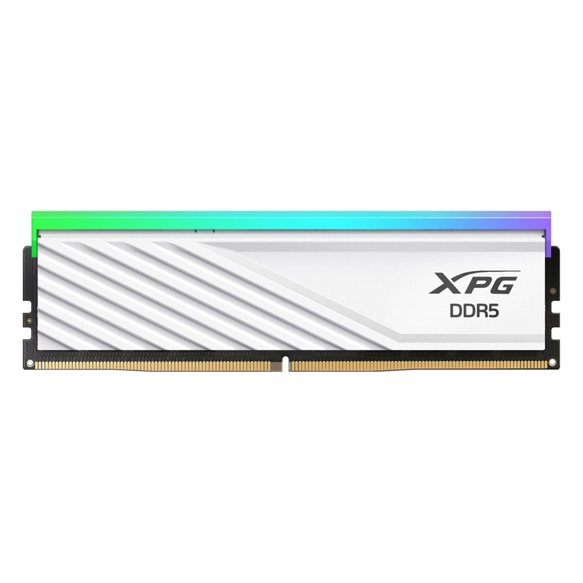 Ein weißer XPG DDR5 RAM-Riegel mit einer mehrfarbigen Lichtleiste oben. Der Riegel hat eine schwarze Platine und goldene Anschlüsse.