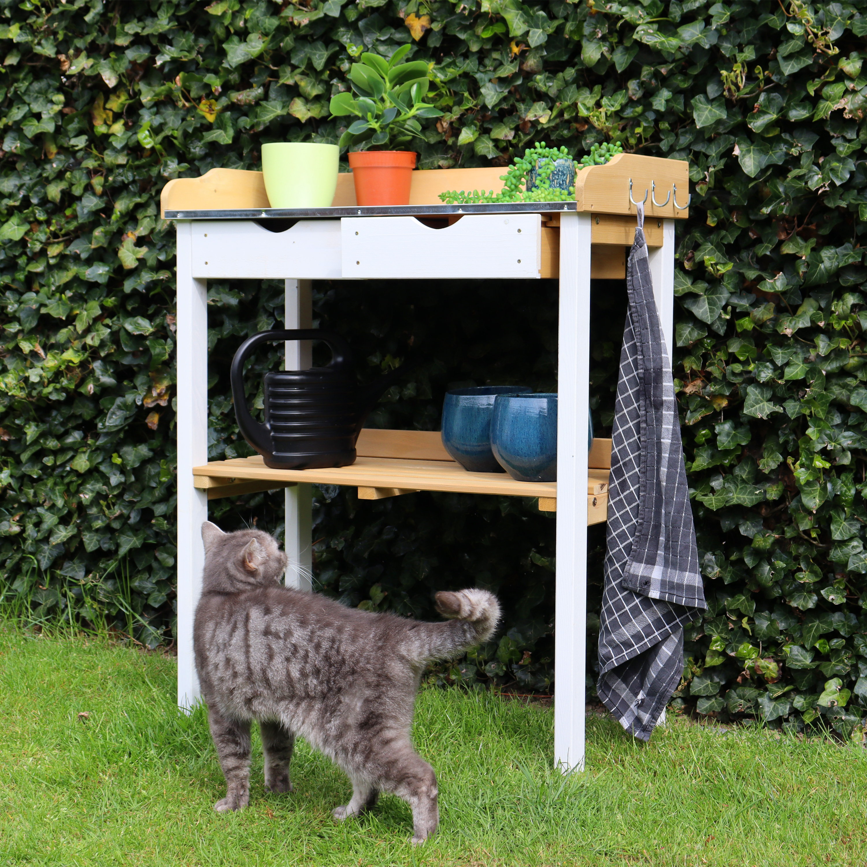 Eine Katze steht auf Gras neben einem Pflanztisch mit Pflanzen und Töpfen. Efeu ist im Hintergrund.