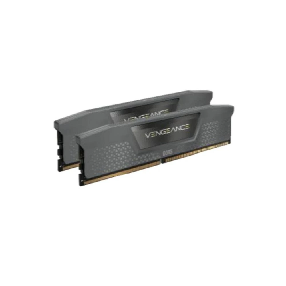 Zwei graue Computer-RAM-Module werden angezeigt. Das Wort 'VENGEANCE' ist auf den Modulen zu sehen. Der Hintergrund ist weiß.