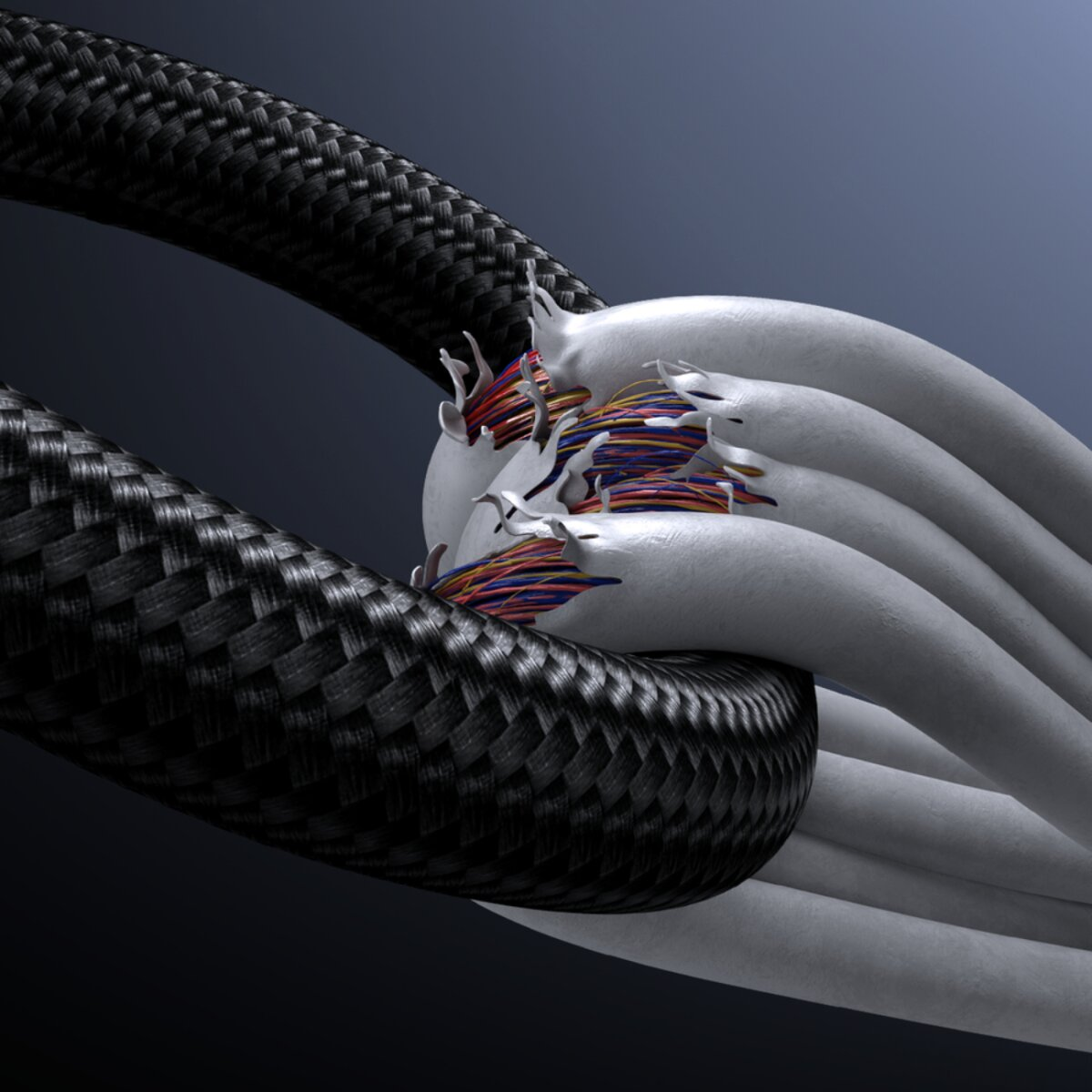 Nahaufnahme eines beschädigten Kabels. Das schwarze geflochtene Kabel umschließt weiße Kabel mit freiliegenden farbigen Drähten.