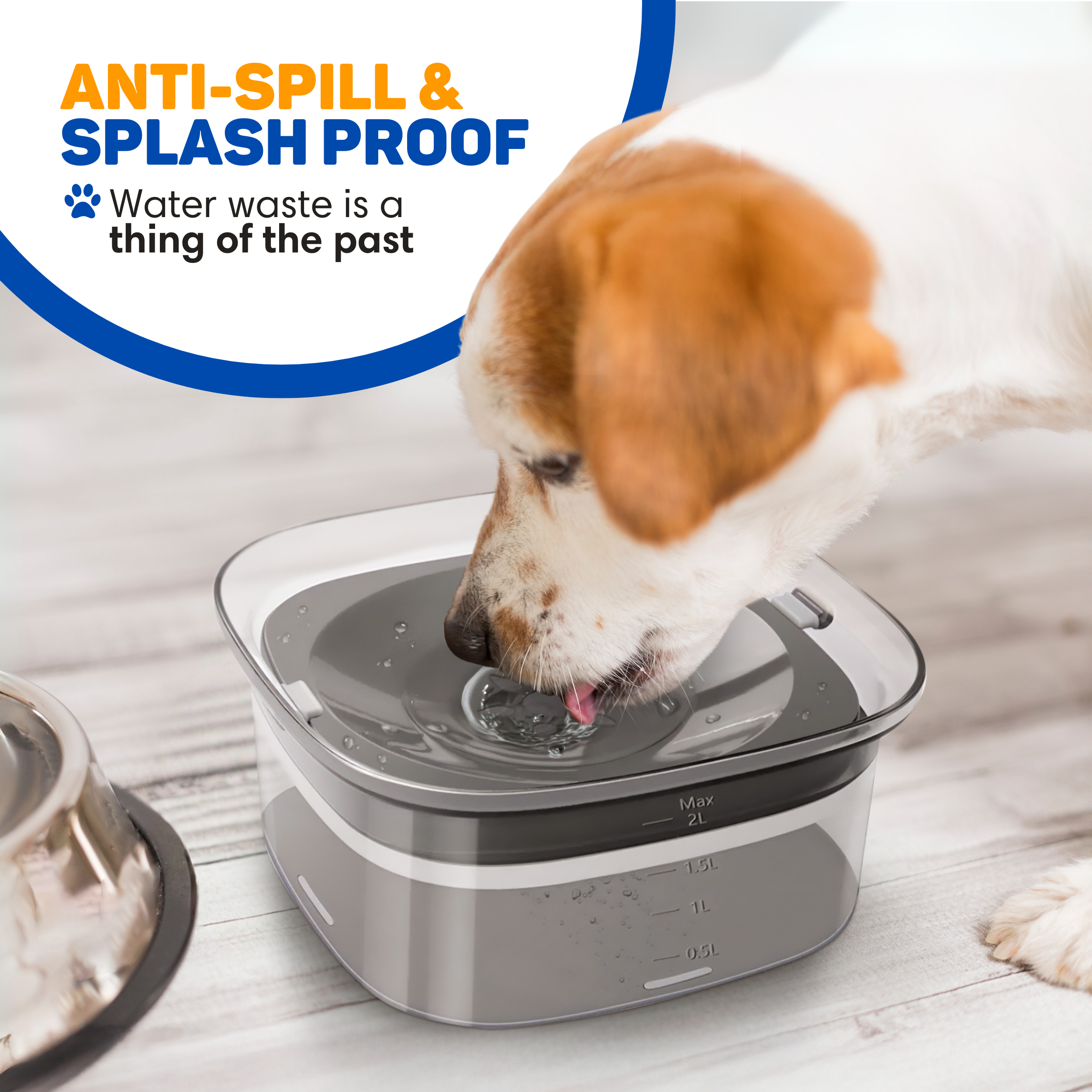 A dog drinks from a water fountain. The fountain is gray and white. Text reads 'Anti-spill & splash proof'.