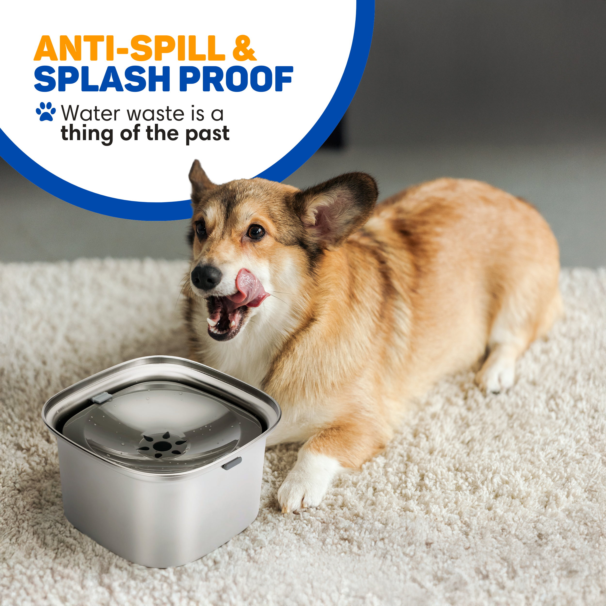 A corgi licks its mouth near a metal pet water fountain. The text reads 'anti-spill & splash proof'.