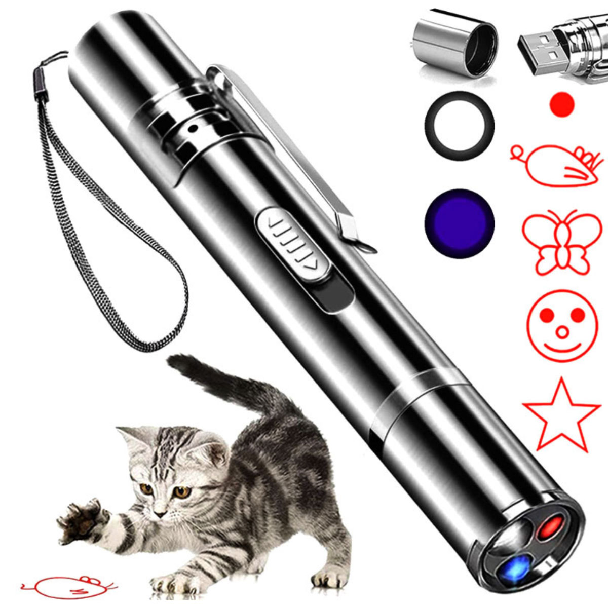 Ein silberner Laserpointer mit spielender Katze. Zubehör umfasst Formen, USB und ein kleines, rundes Objekt.
