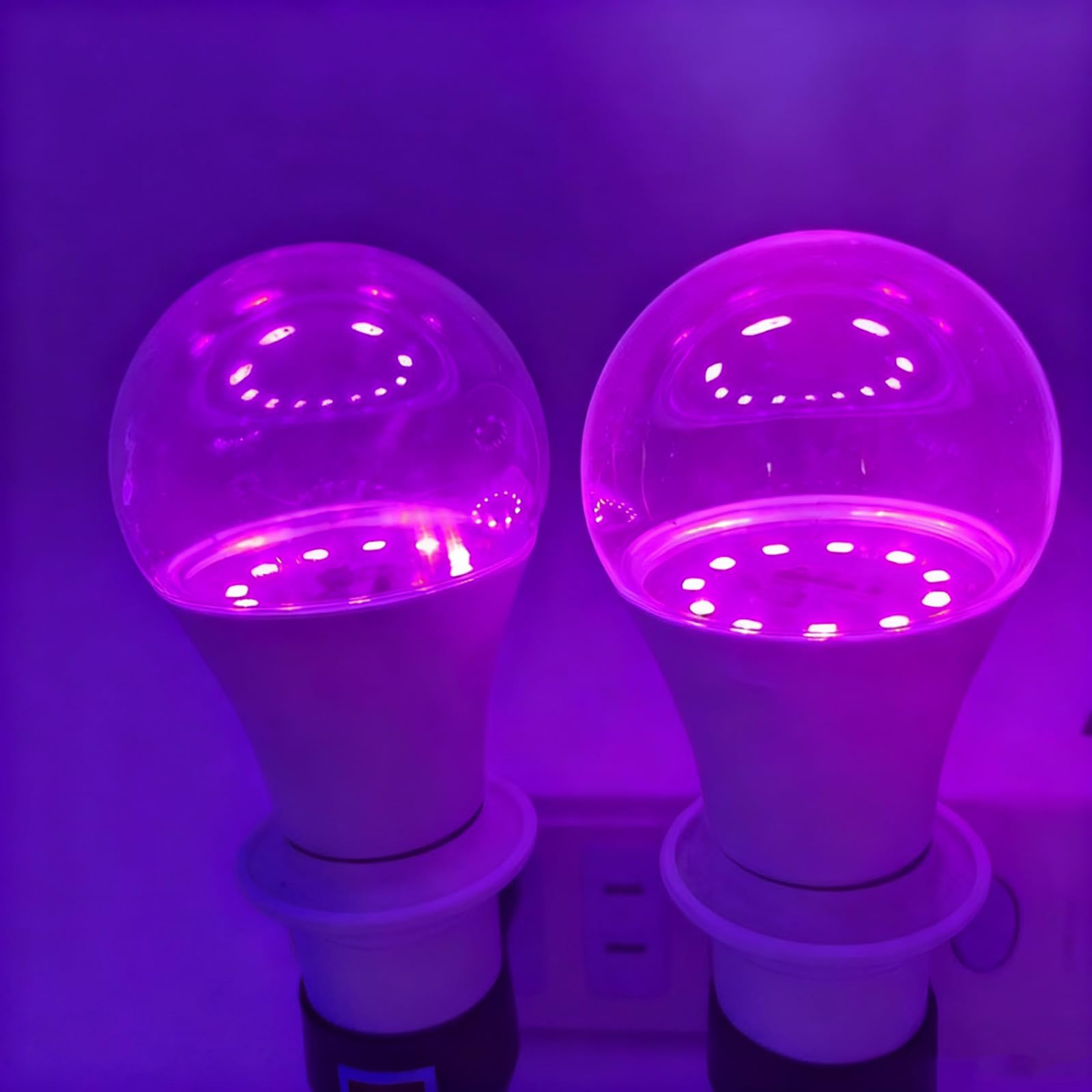 Zwei violette LED-Pflanzenlampen leuchten und erzeugen einen violetten Farbton. Sie sind an der Basis weiß und haben klare Glühbirnen.