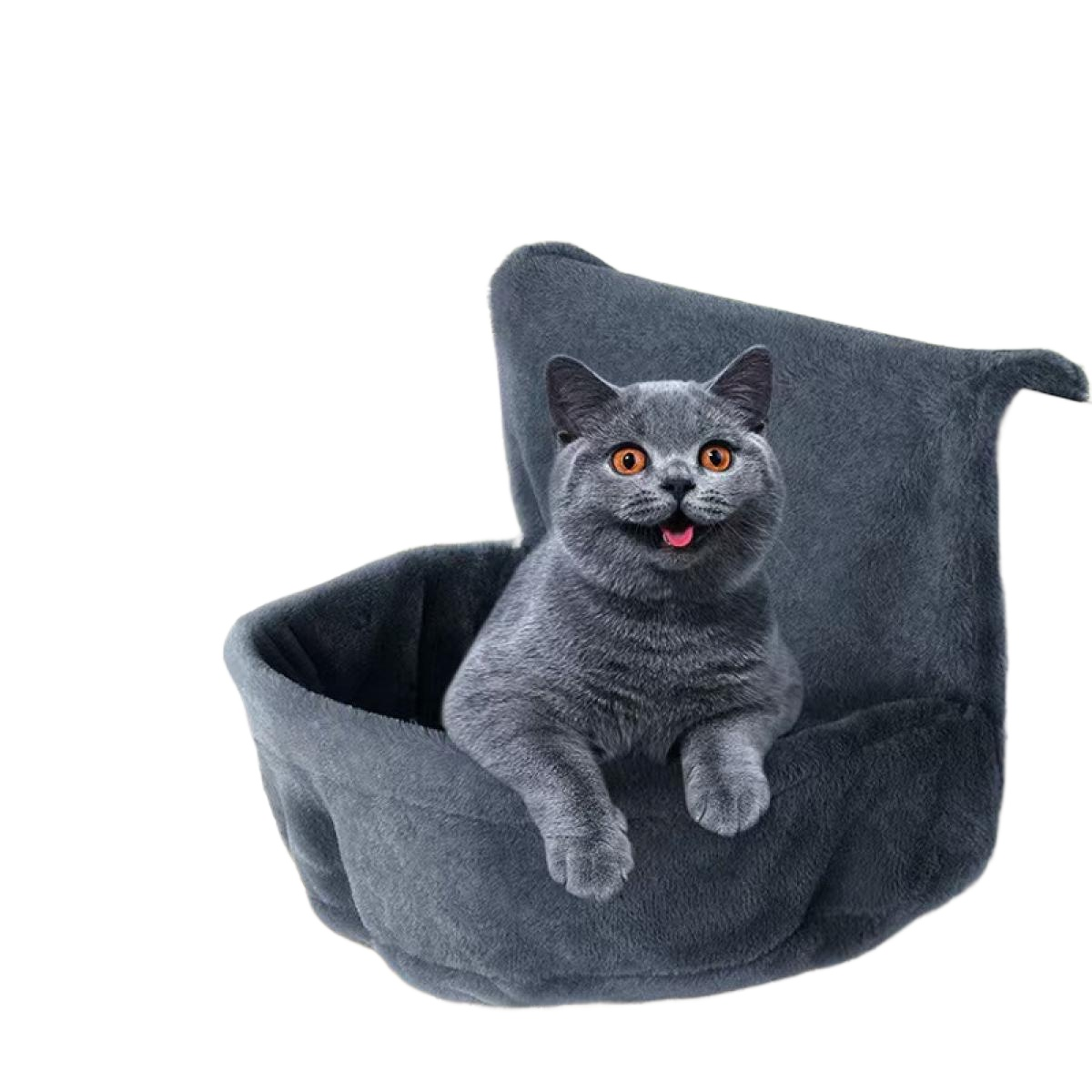 Eine graue Katze mit orangefarbenen Augen sitzt in einem grauen Katzenbett und schaut den Betrachter an. Die Zunge der Katze ist sichtbar.