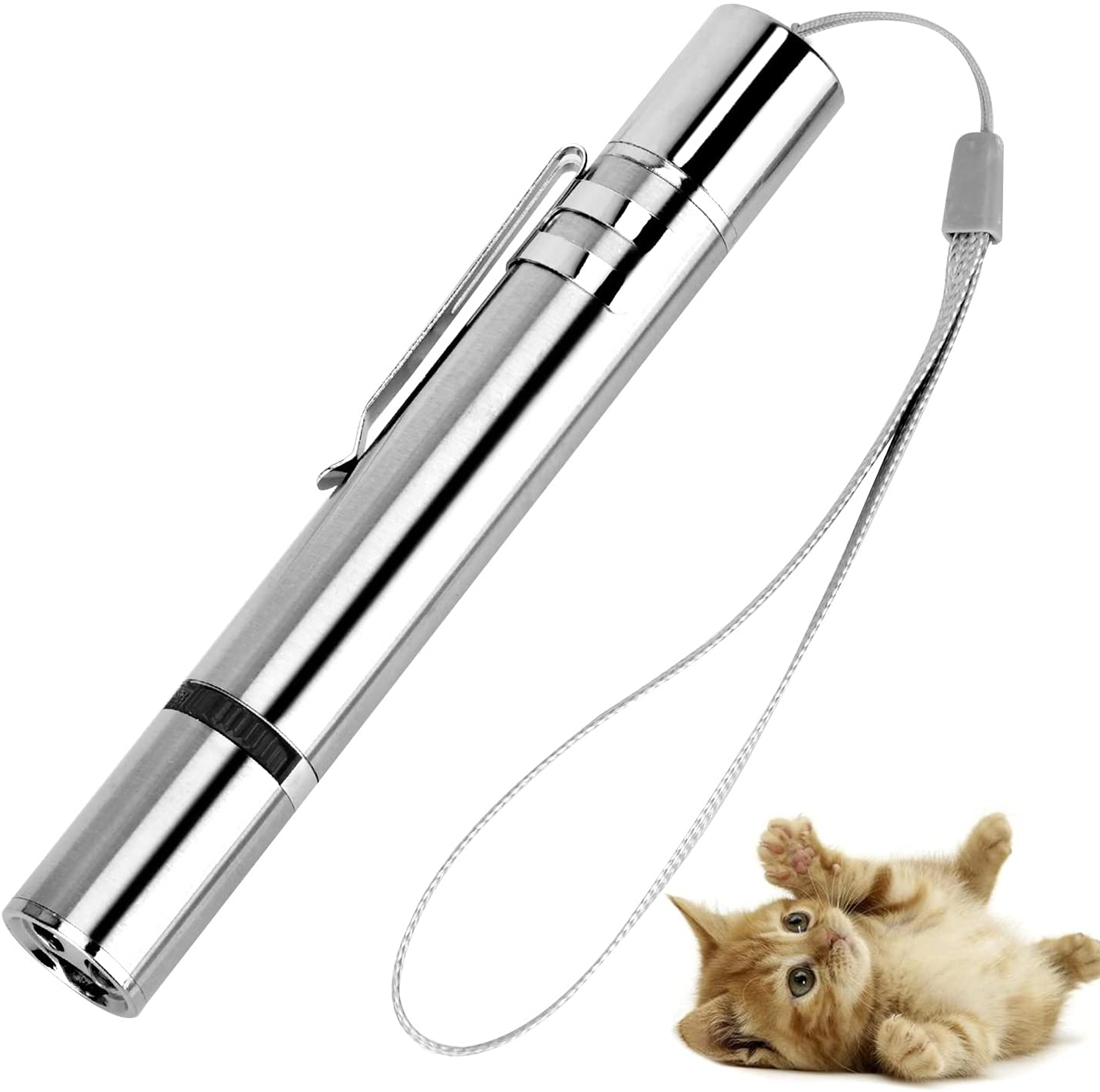 Ein silberner Laserpointer mit Band ist abgebildet. Eine kleine orangefarbene Katze liegt auf dem Rücken und schaut nach oben.