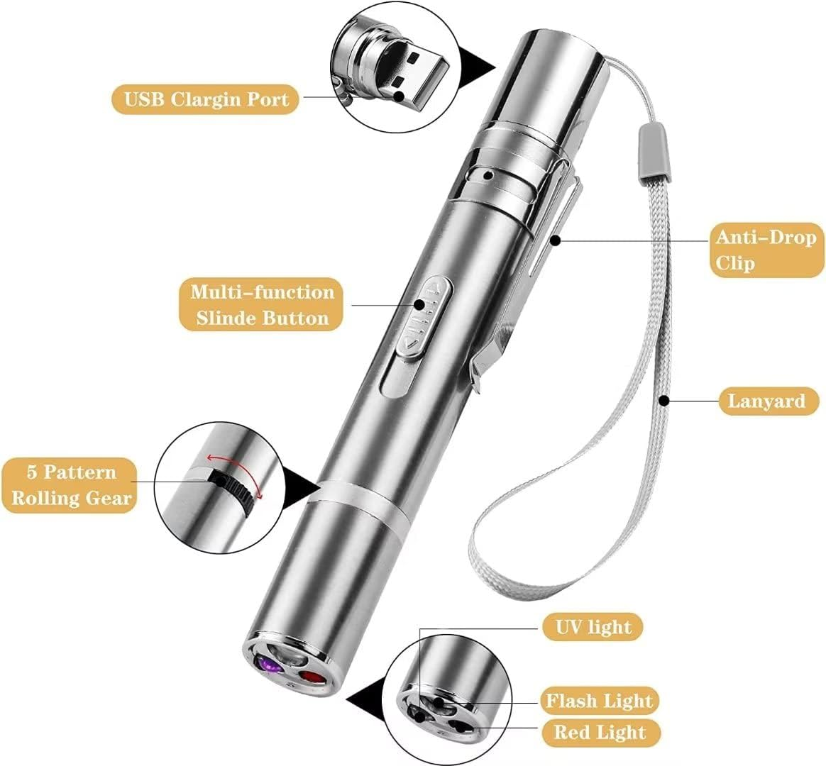 Gezeigt wird ein silberner Laserpointer mit Etiketten, die USB-Anschluss, Multifunktionstaste und Lichtoptionen angeben.