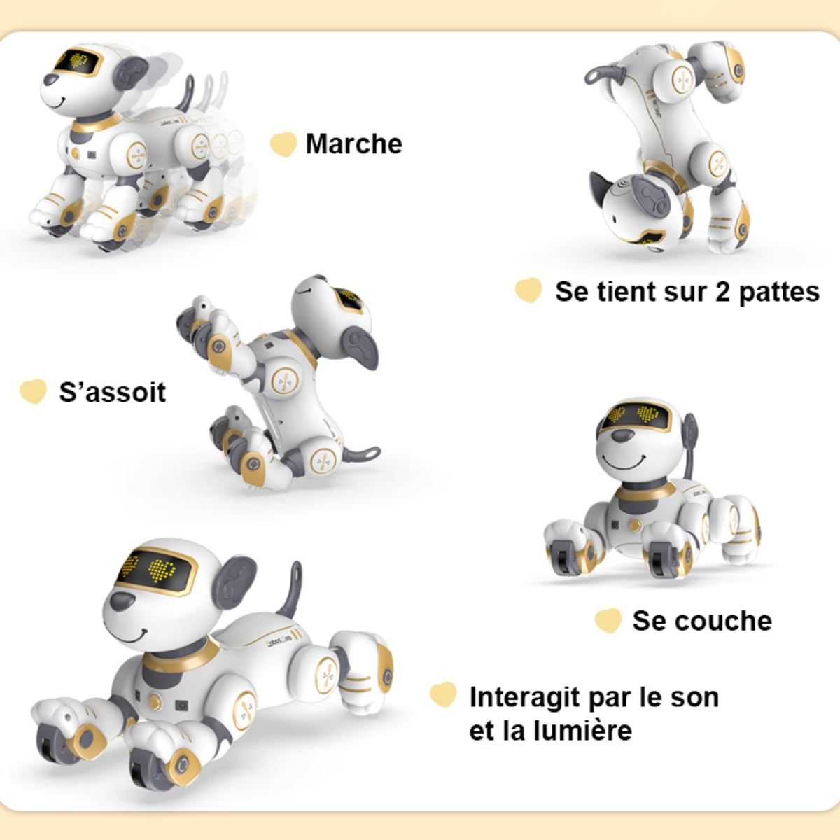 Ein weiß-goldener Roboterhund in verschiedenen Posen: Gehen, Sitzen, Stehen auf zwei Beinen, Liegen. Interagiert mit Ton und Licht.