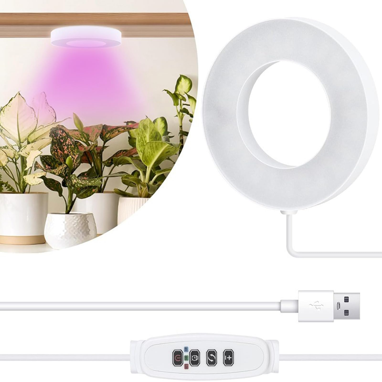 Ein Ringlicht und ein USB-Kabel mit Bedienelementen werden angezeigt. Pflanzen werden von einem violetten Licht von oben beleuchtet.