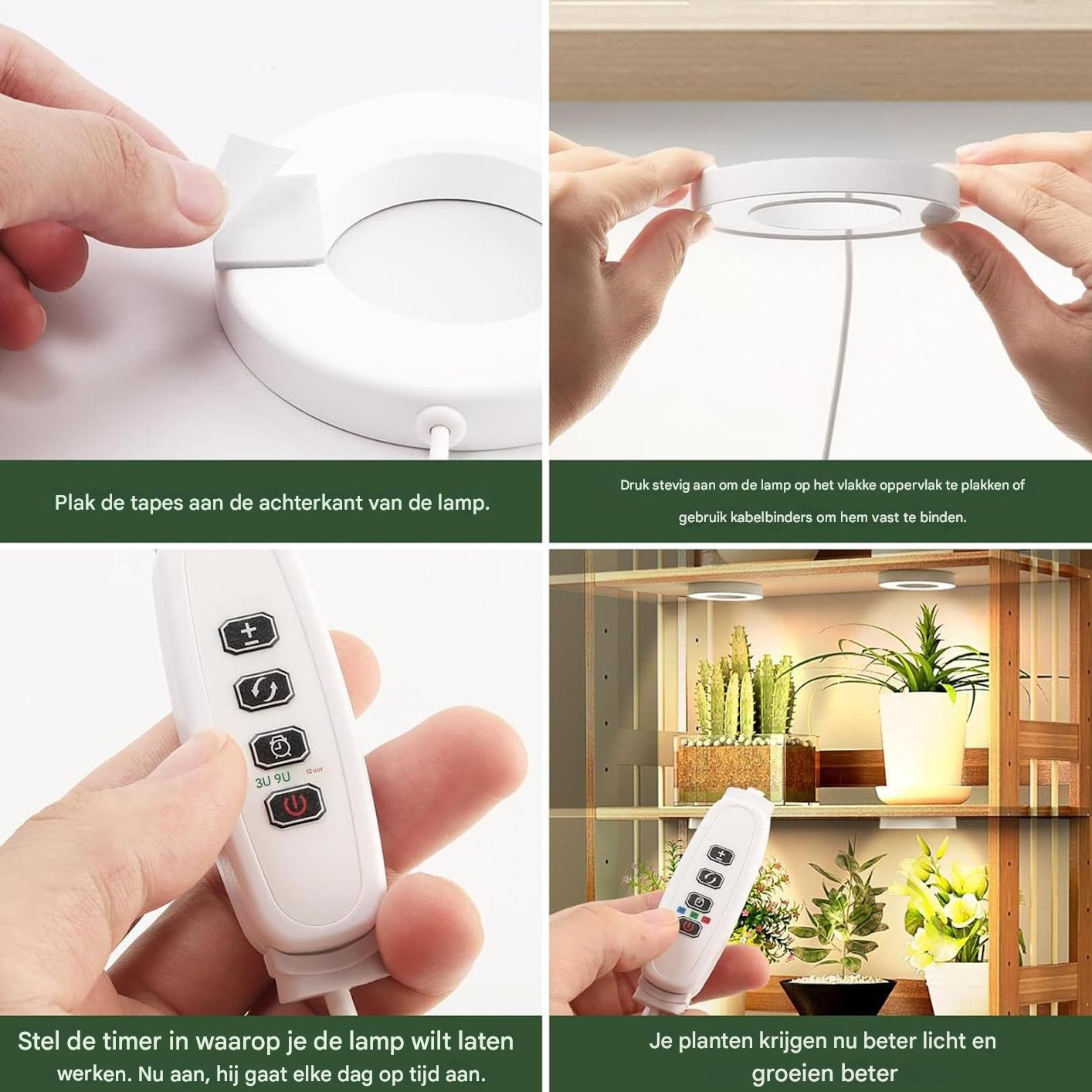 Hände zeigen die Montage einer Pflanzenlampe mit Timer. Pflanzen in Töpfen stehen auf Regalen, und das Licht ist an.