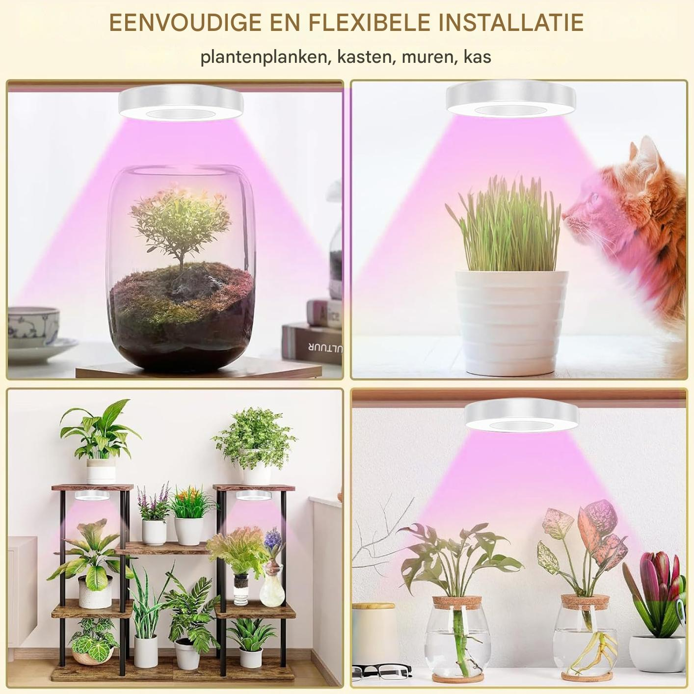 Vier Bilder, die Pflanzen unter Pflanzenlampen zeigen. Eines mit einem Terrarium, eines mit einer Katze und zwei mit Regalen und Vasen.