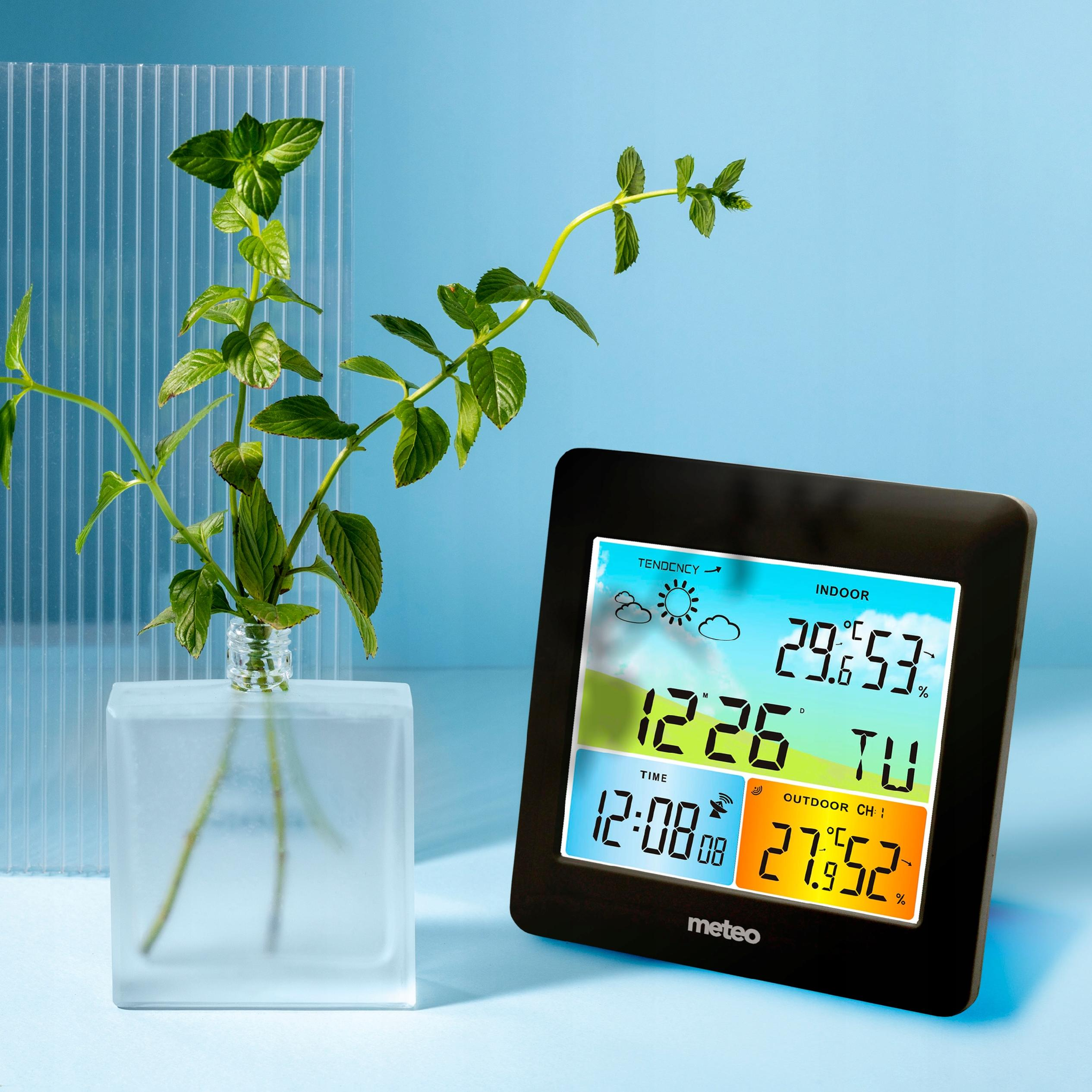 Roślina mięty w szklanym wazonie obok cyfrowej stacji pogodowej pokazującej temperaturę i godzinę.
