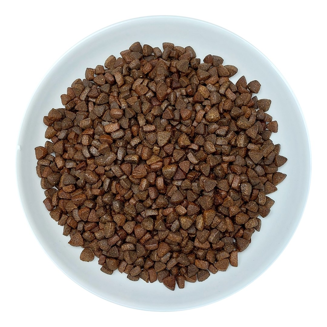 Biały talerz wypełniony brązowymi, nieregularnie ukształtowanymi kawałkami karmy dla zwierząt na białym tle.