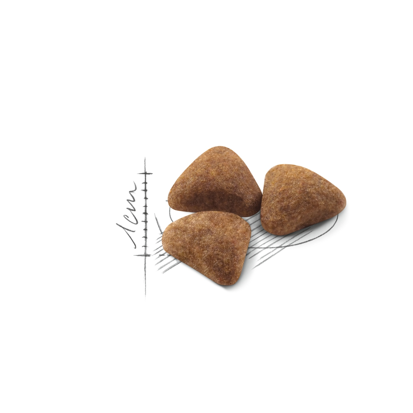 Trzy brązowe, trójkątne kawałki karmy dla zwierząt na białym tle, z bladymi liniami szkicu ołówkiem.