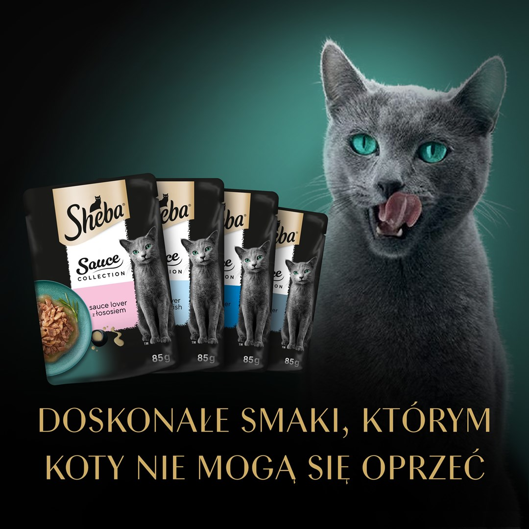 Szary kot z zielonymi oczami oblizuje wargi, obok saszetek karmy dla kotów Sheba ze zdjęciami kotów. Polski tekst na dole.