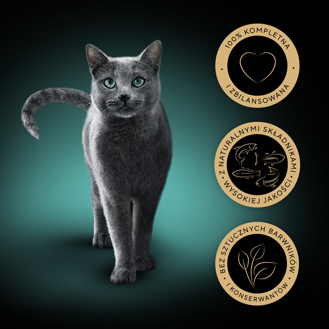 Szary kot z zielonymi oczami stoi na tle turkusowego tła. Po prawej logo z tekstem: kompletne, naturalne składniki i bez sztucznych barwników.