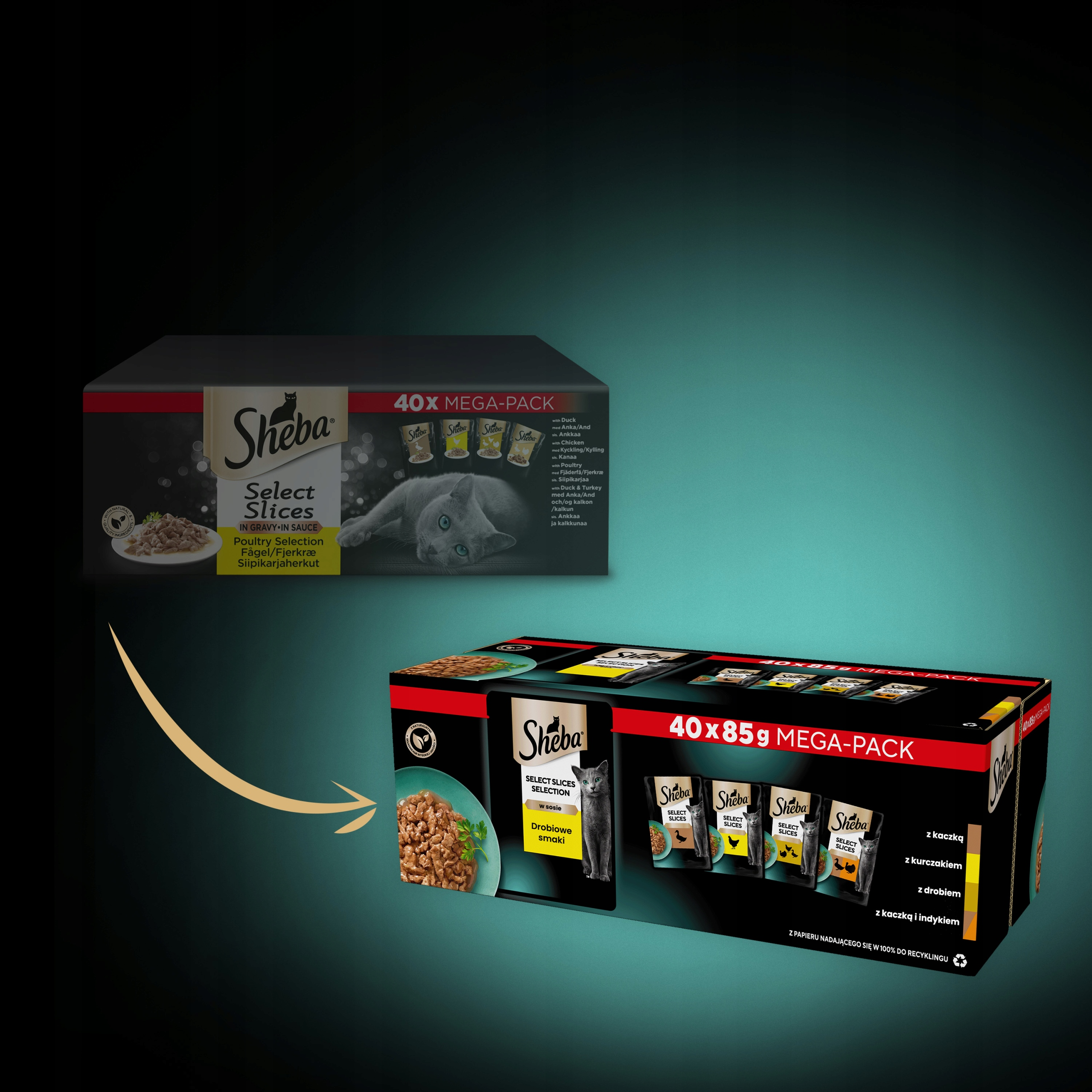 Dwa pudełka karmy dla kotów Sheba. Jeden mega-opakowanie 40x, drugi 40x85g. Oba zawierają obrazy kotów.