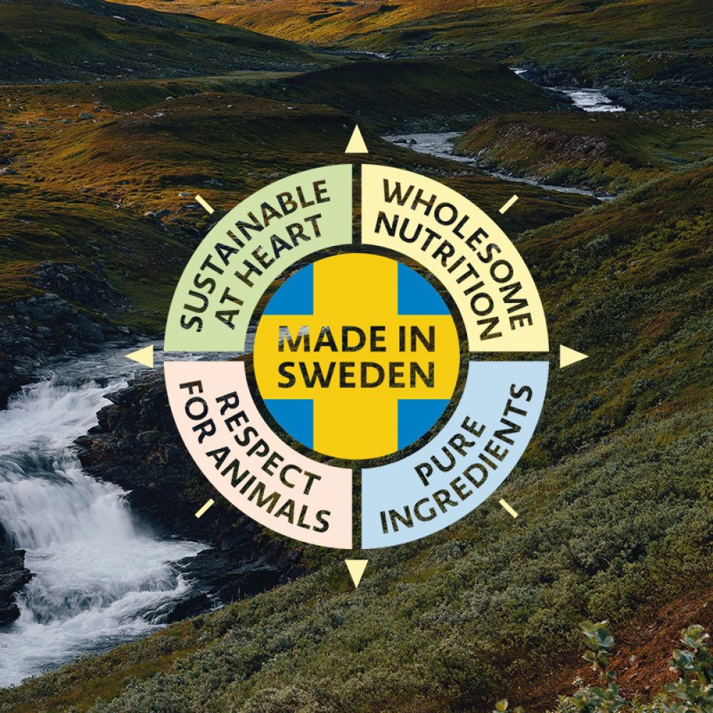 Obraz przedstawia malowniczy krajobraz z wodospadem i logo z napisem "Made in Sweden". Logo to kompas z otaczającym go tekstem.