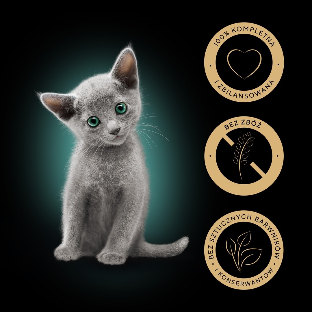 Szary kociak z zielonymi oczami patrzy na widza. Złote ikony z tekstem po prawej stronie, w tym 'bez zboz' i serce.