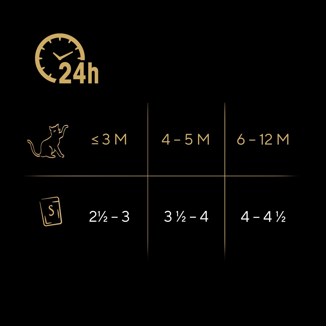 Czarne tło. Złote ikony zegara, kota, torby z jedzeniem. Tekst: Przedziały wiekowe i wielkości porcji jedzenia. Informacje na czarnym tle.