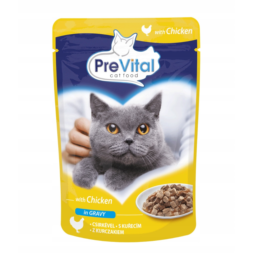 Opakowanie karmy dla kotów z szarym kotem w środku. Jest napisane 'with Chicken' i 'in GRAVY'. Widoczna jest również mała miseczka z jedzeniem.
