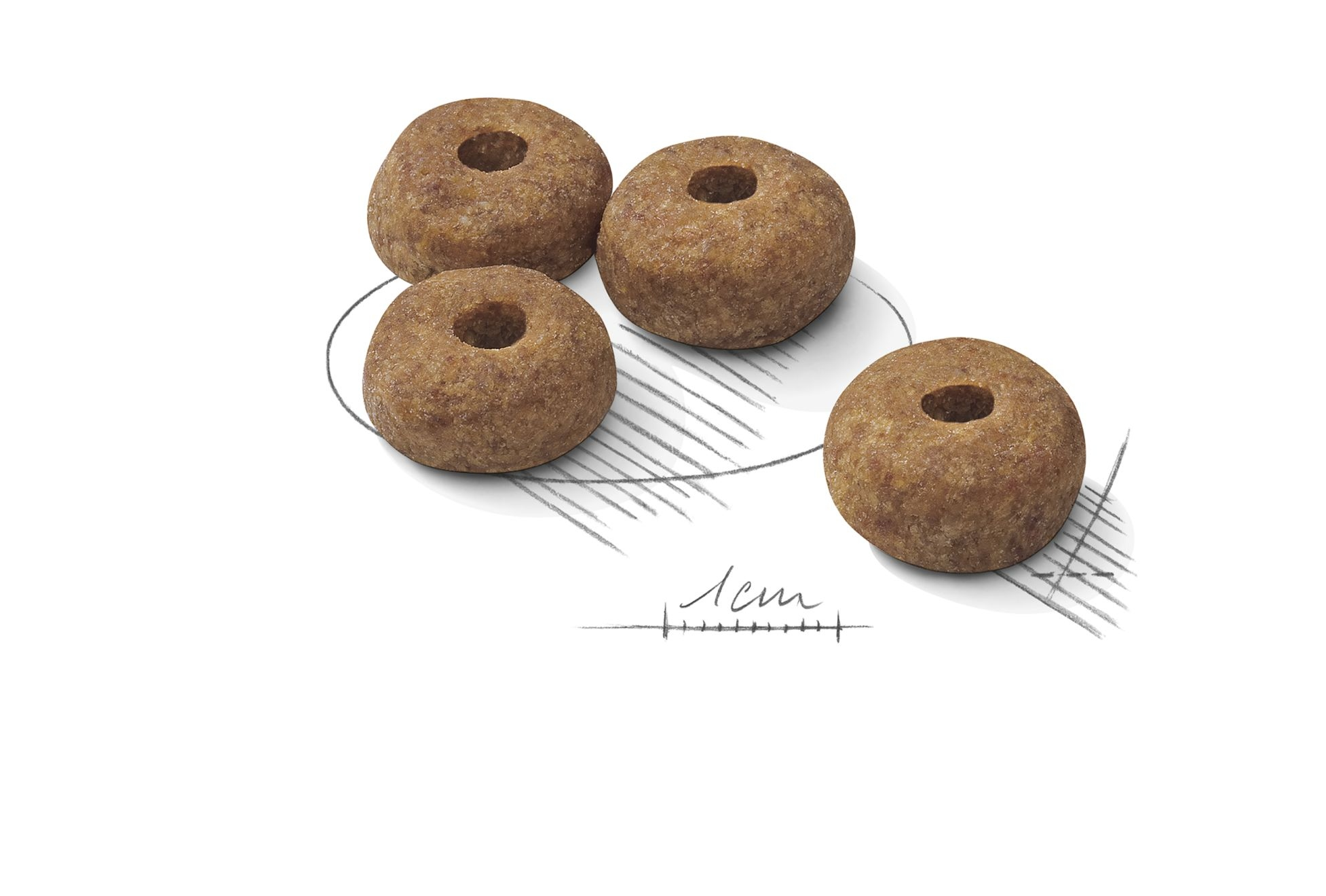 Cuatro piezas marrones de comida para mascotas en forma de anillo están dispuestas sobre un fondo blanco con un boceto de un plato.