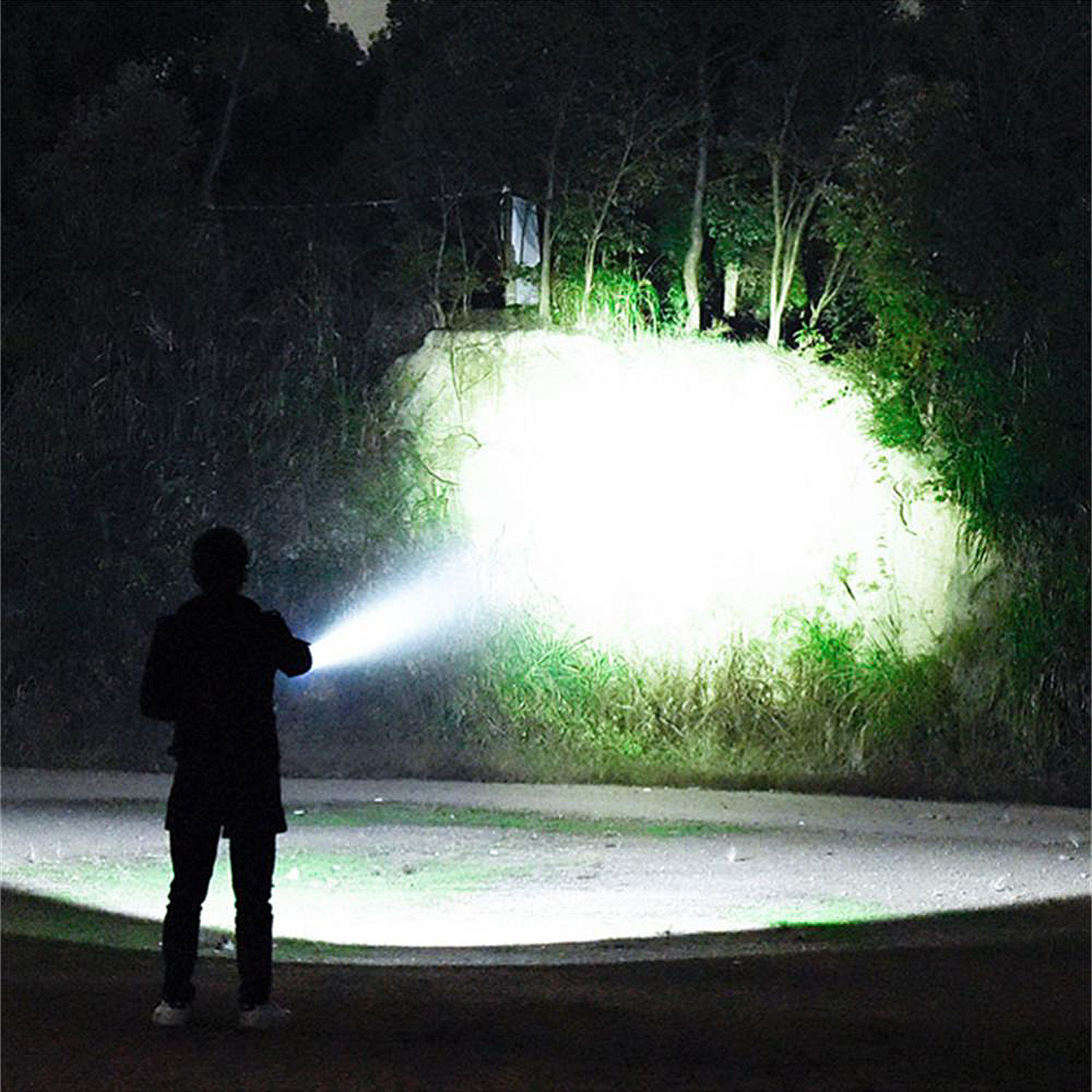 Una persona sostiene una linterna en la oscuridad, iluminando un camino. Árboles y arbustos rodean la escena, con luz brillante en el centro.