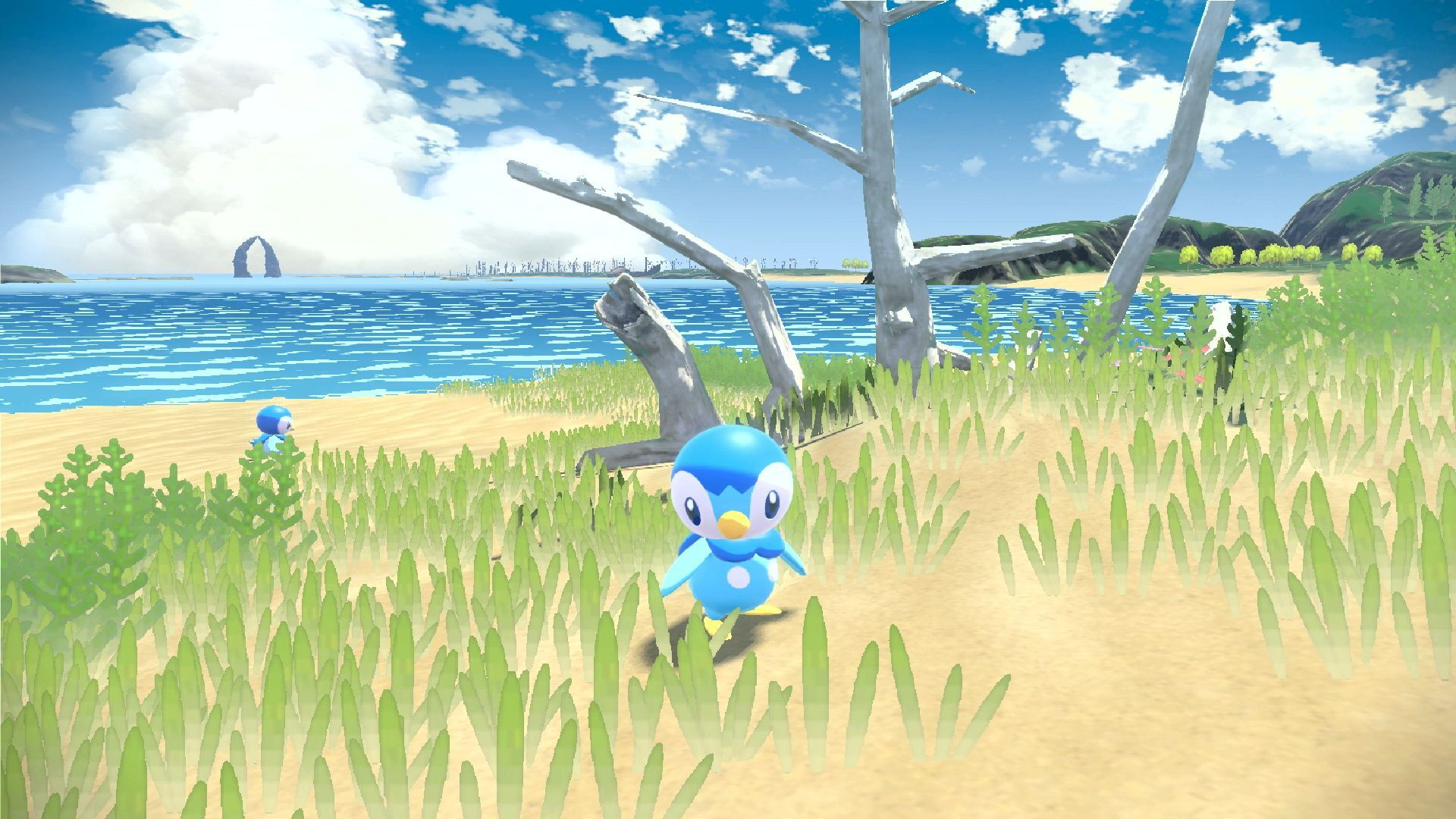Una creatura blu simile a un pinguino è su una spiaggia sabbiosa, un'altra in lontananza. Il mare e il cielo sullo sfondo.