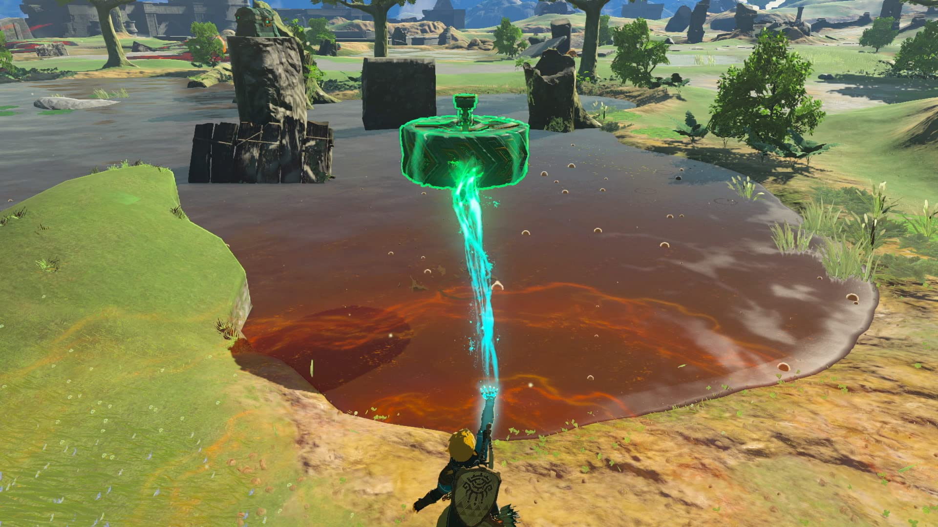 Un oggetto verde brillante sospeso sopra acqua marrone. Un personaggio con scudo lo guarda. Alberi e colline sullo sfondo.