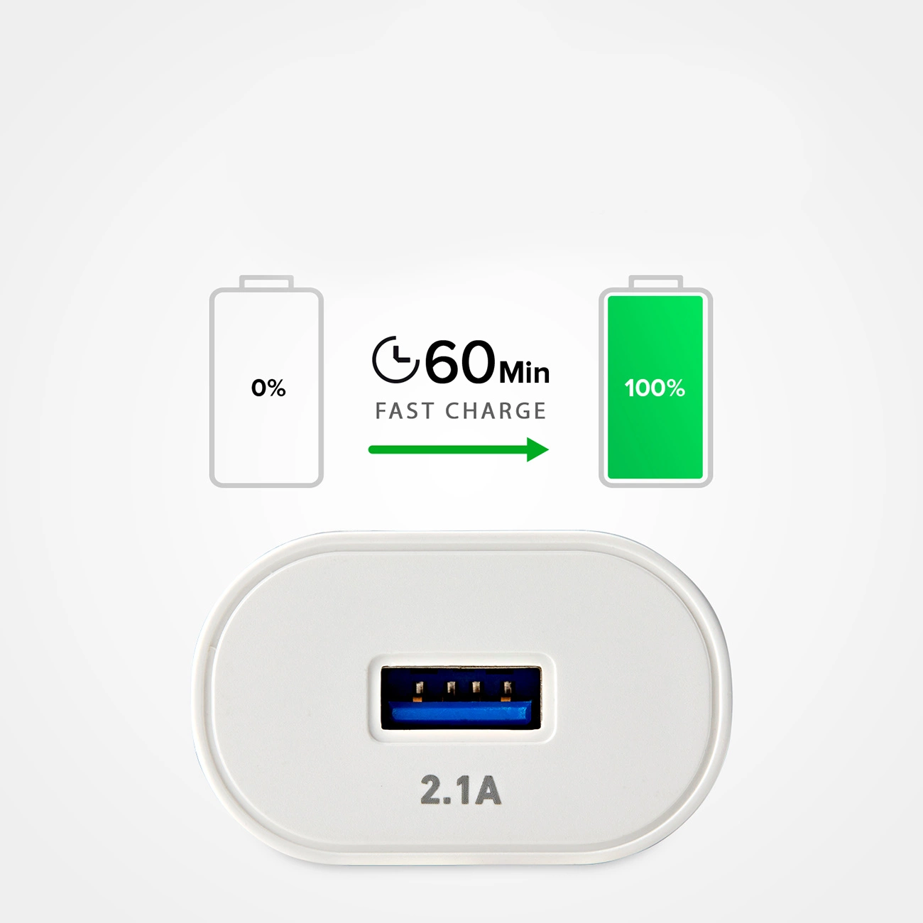 L'immagine mostra un caricabatterie bianco con porta USB ed etichetta 2.1A. Grafici indicano ricarica rapida da 0% a 100% in 60 minuti.