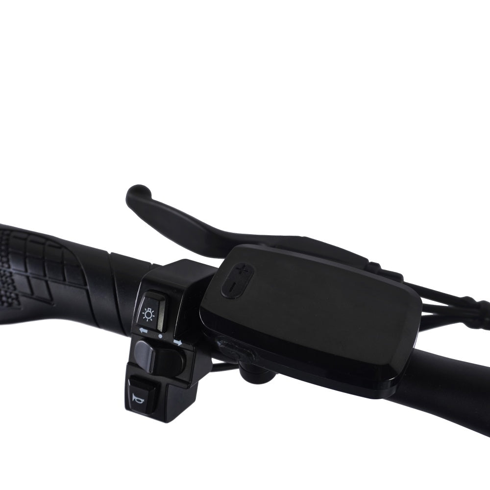 Nahaufnahme eines schwarzen Fahrradlenkers. Er hat Bedienelemente für Licht, Hupe und einen Hebel. Schwarzer Griff und schwarzes Display.