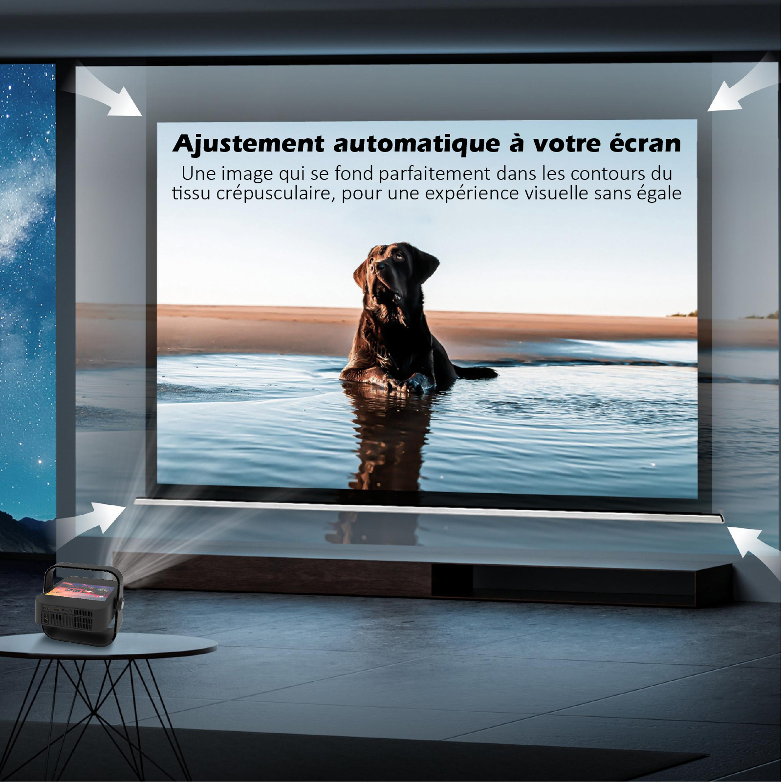 Un proyector muestra la imagen de un perro en el agua. La escena incluye un proyector, una pantalla y una habitación oscura.