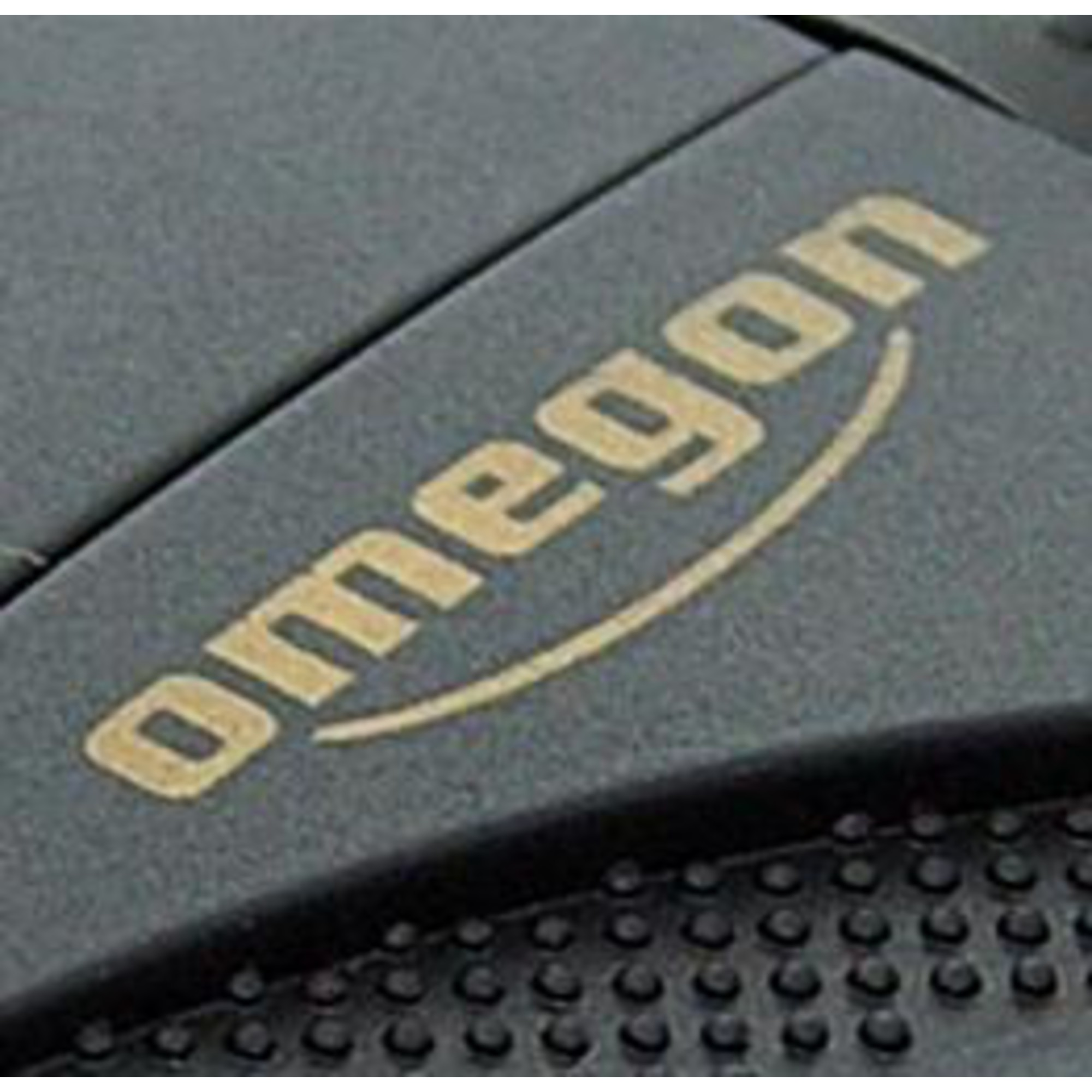 Nahaufnahme einer Oberfläche mit dem goldfarbenen Wort 'Omegon'. Die Oberfläche wirkt strukturiert und dunkelgrau.