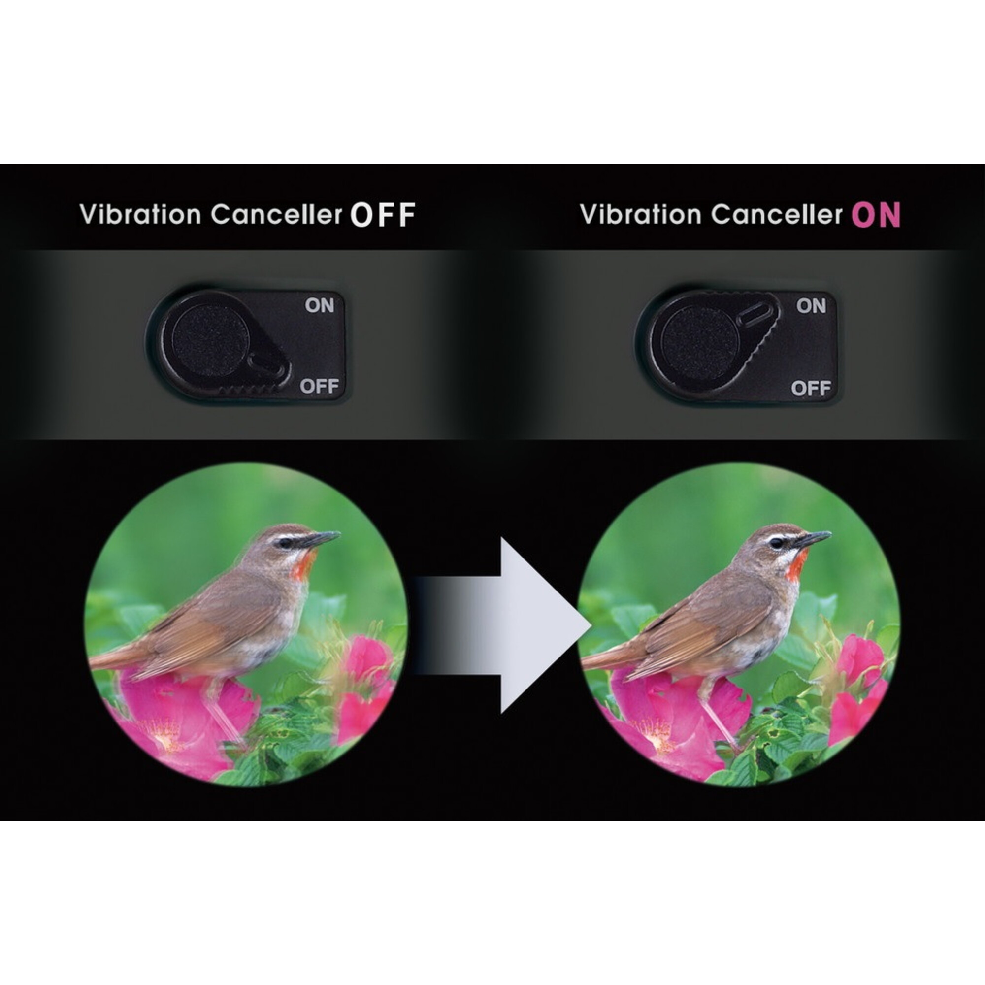 Das Bild zeigt die Steuerung des Vibrationsdämpfers. Zwei Vogelbilder werden gezeigt, eines mit Vibration, eines ohne.