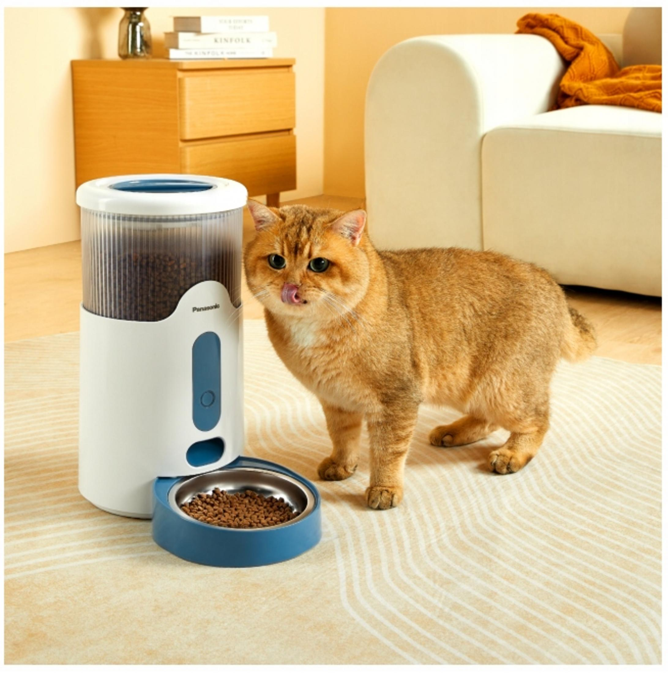 Złoty kot liżący nos stoi obok biało-niebieskiego podajnika dla kota. Karma dla kotów jest w misce.
