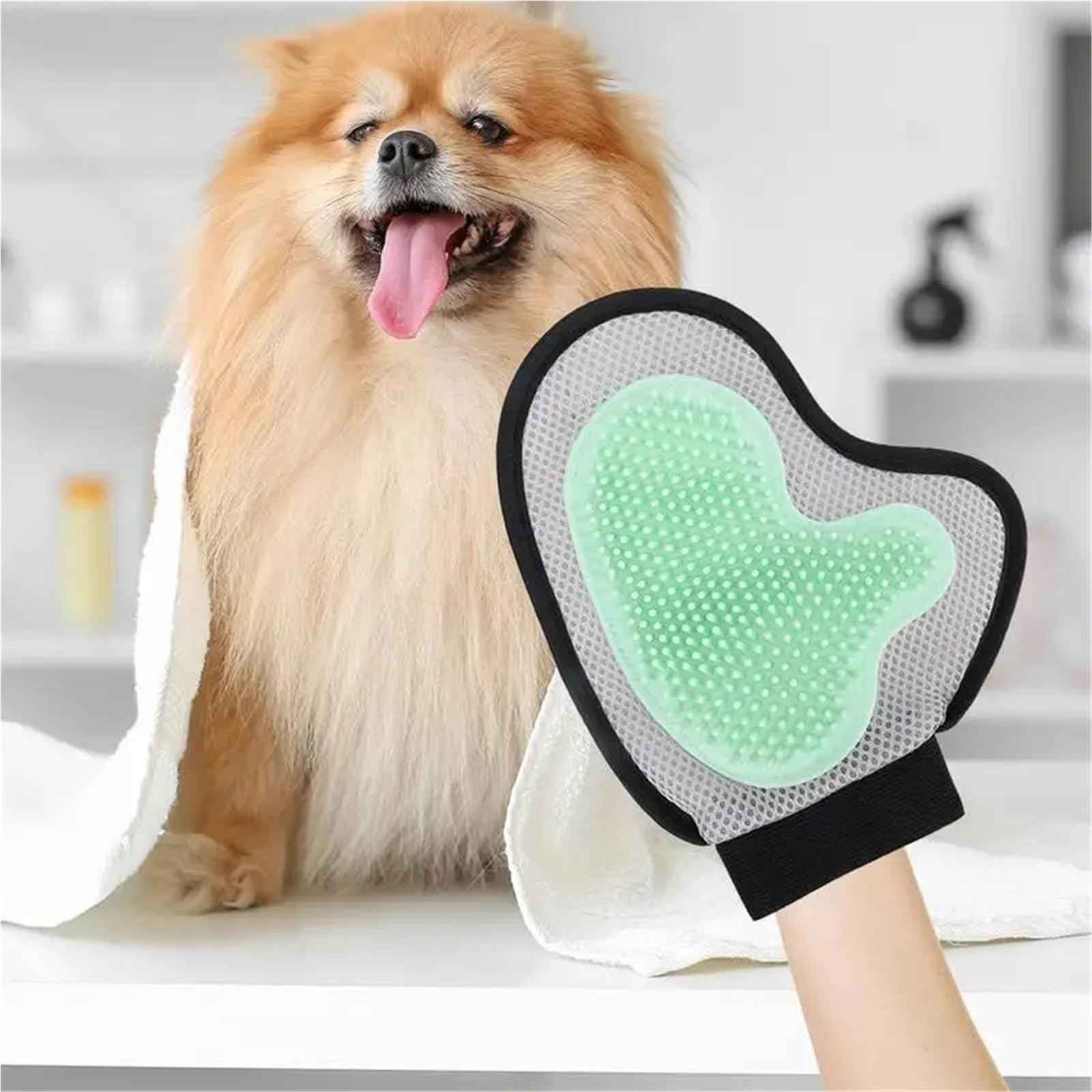 Ein Hund mit herausgestreckter Zunge neben einem Pflegehandschuh. Der Handschuh ist grün, schwarz und weiß.
