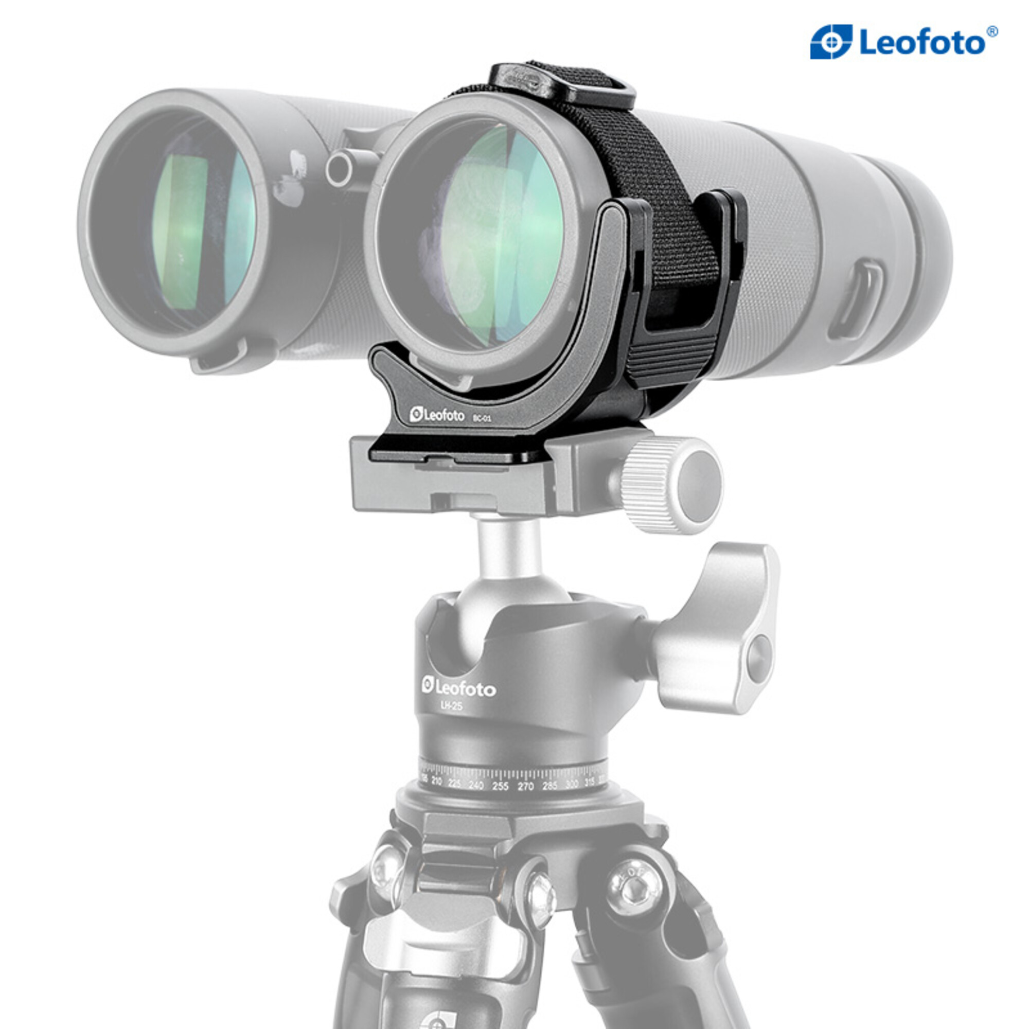 Fernglas auf Stativkopf mit schwarzem Riemen, und Leofoto-Logo auf Stativ und Fernglas.