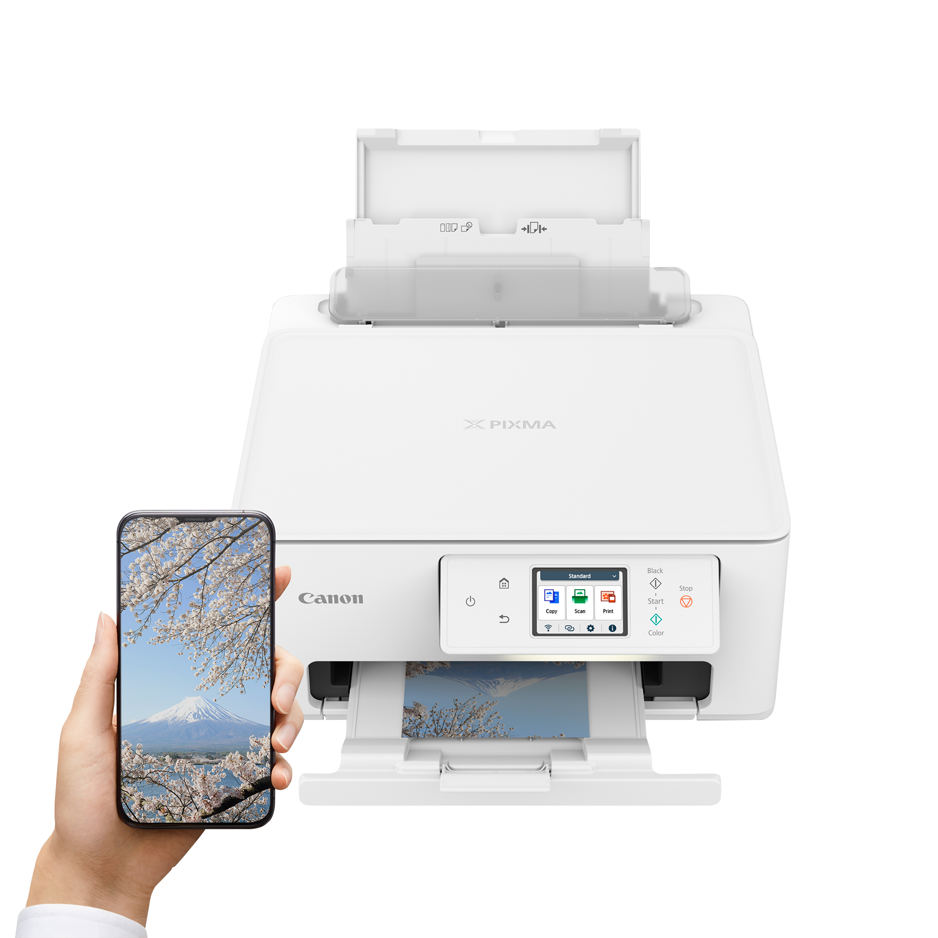 Una stampante Canon Pixma bianca con uno smartphone che mostra il Monte Fuji e fiori di ciliegio.