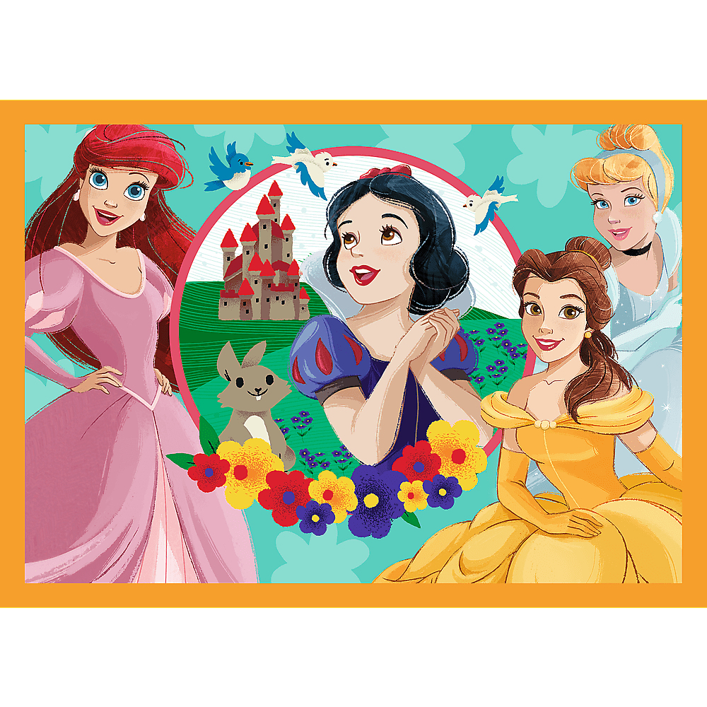 Illustratie van Disney-prinsessen: Ariel, Sneeuwwitje, Belle en Assepoester. Er zijn ook een kasteel, bloemen en een konijn.