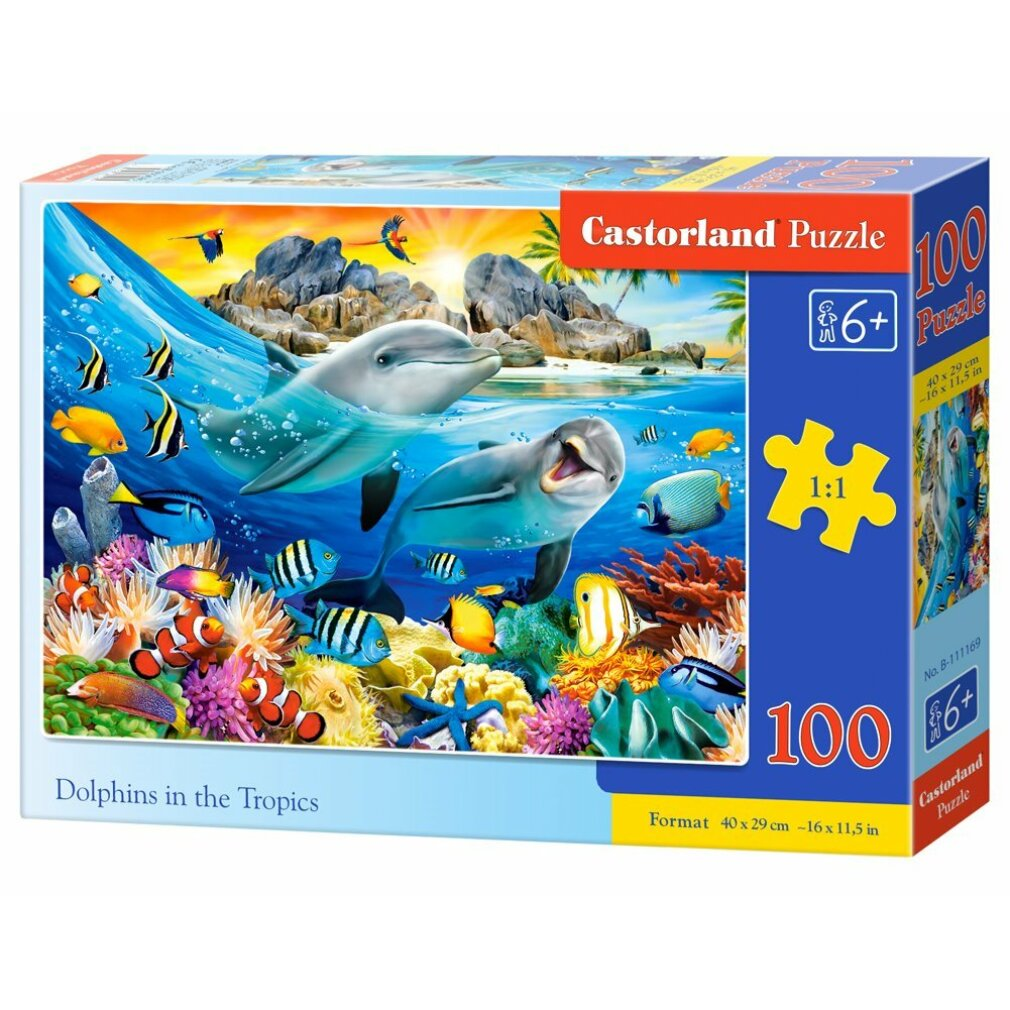 Puzzledose mit Delfinen, Fischen und Korallenriff. Auf der Box steht "Delfine in den Tropen" und "Castorland Puzzle".