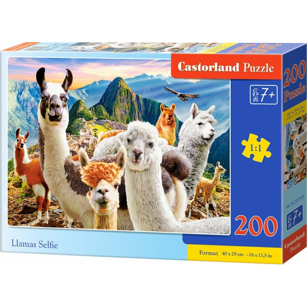 Puzzledose mit Llama-Selfie-Bild. Lamas vor Bergen. Die Box hat "Castorland Puzzle" und "200" darauf.