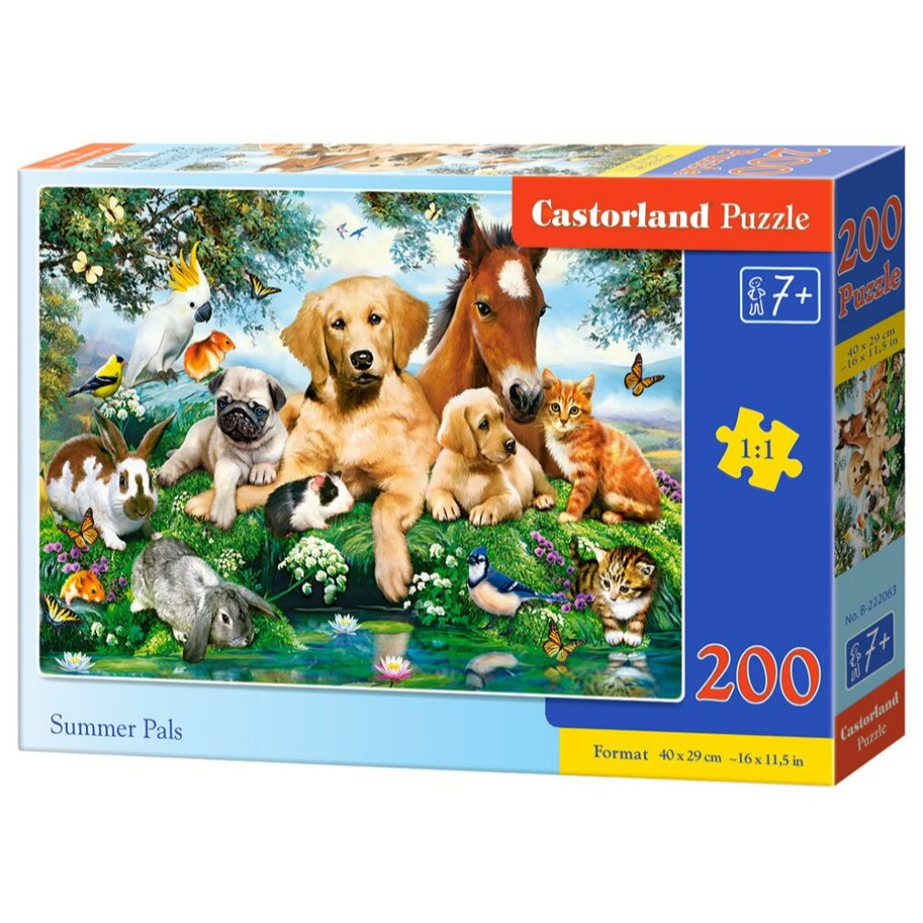Puzzeldoos met honden, katten, een paard en andere dieren. Vlinders en bloemen zijn ook afgebeeld.