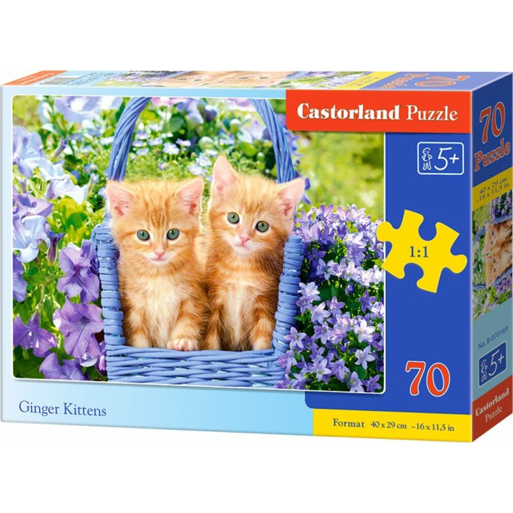 Puzzledose mit zwei roten Kätzchen in einem blauen Korb, umgeben von lila Blumen. Auf der Box steht 'Castorland Puzzle'.