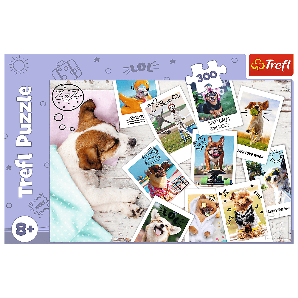 Puzzle montrant un chien endormi et des photos Polaroid de chiens pratiquant diverses activités comme voler, porter des lunettes de soleil et faire du skateboard.