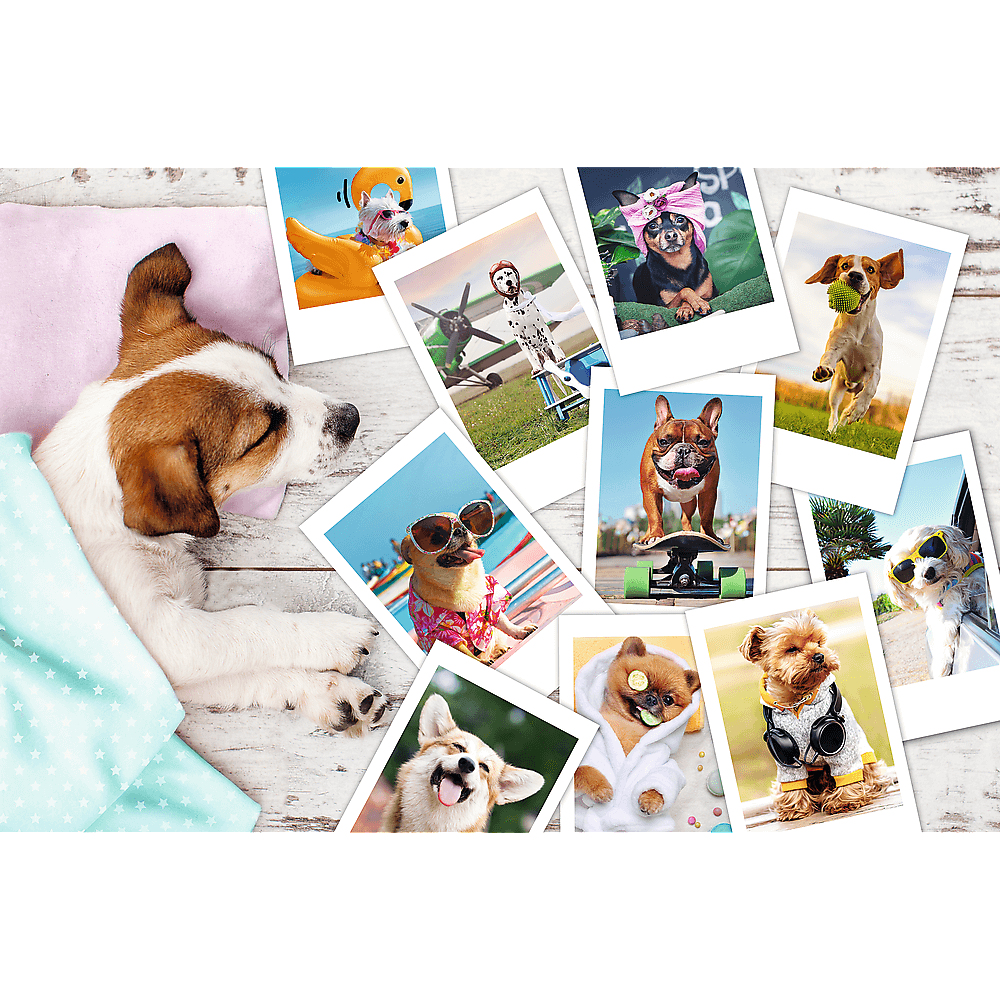 Un chien endormi avec des photos de chiens portant des lunettes de soleil, des bandanas et des costumes. Certains sont sur un skateboard, dans un avion et un flotteur flamant rose.