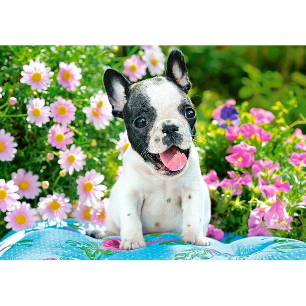 Ein Französische Bulldoggenwelpe sitzt auf einem floralen Kissen und japst mit herausgestreckter Zunge, umgeben von rosa und weißen Blumen.