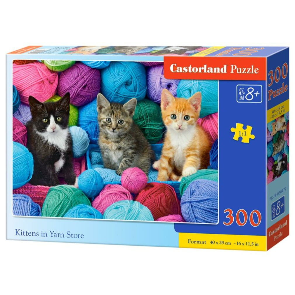 Puzzledose mit drei Kätzchen zwischen bunten Wollknäueln. Die Schachtel trägt die Aufschrift 'Castorland Puzzle' und '300 Puzzle'.
