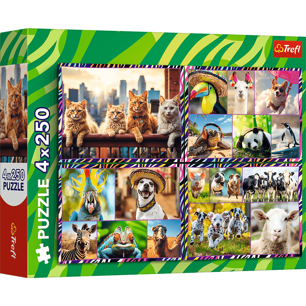 Boîte de puzzle avec chats, chiens et autres animaux. Comprend un paysage urbain et des portraits d'animaux.