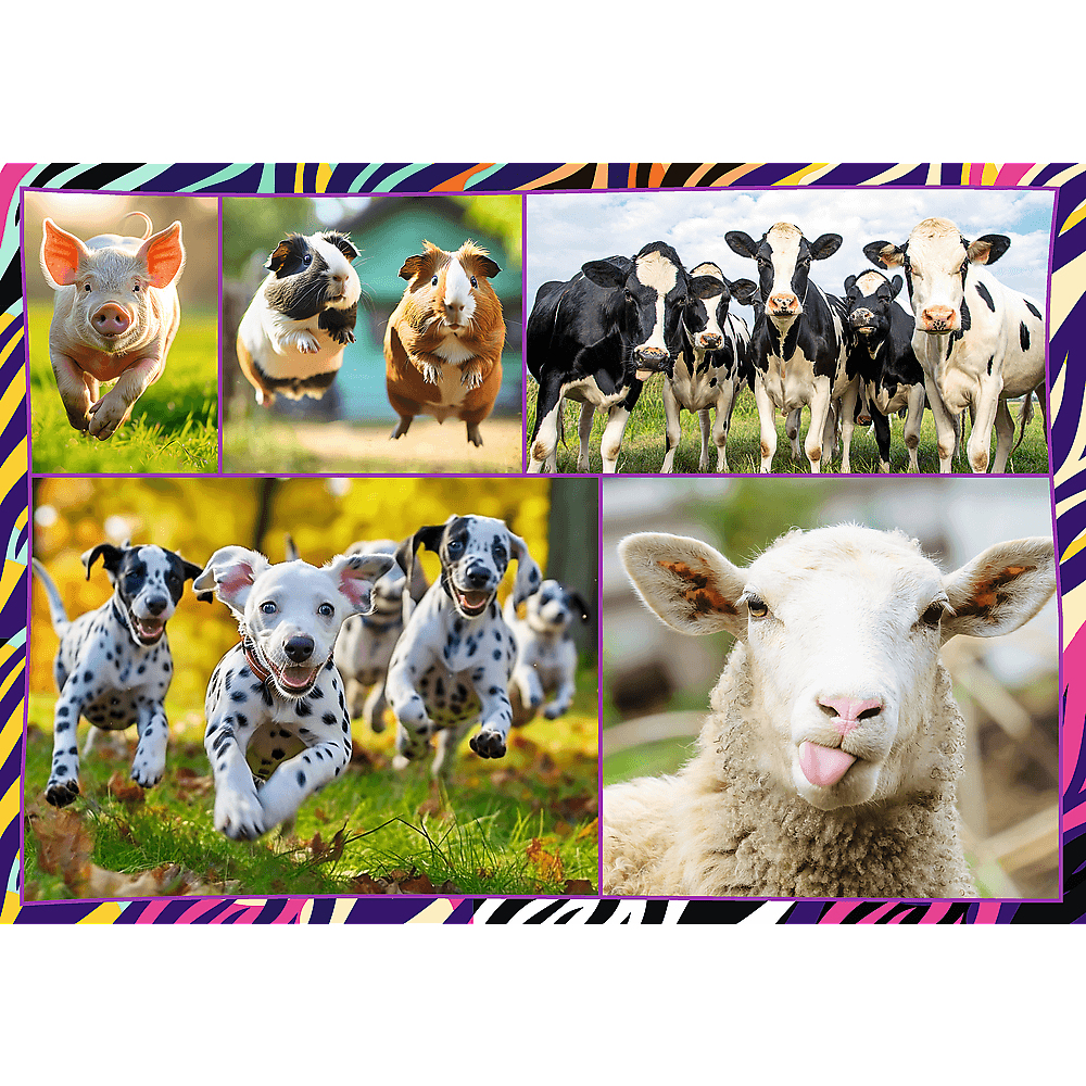 Un collage avec un cochon, des cobayes, des vaches, des chiots dalmatiens courant et un mouton tirant la langue.